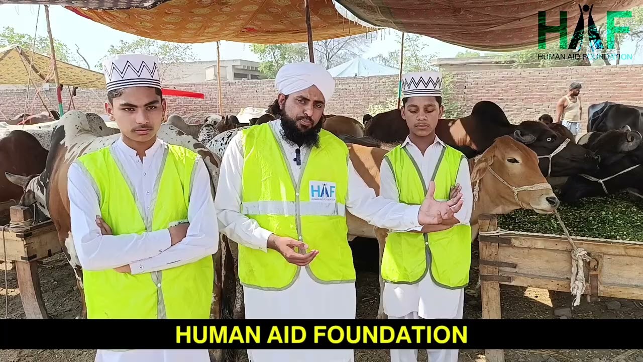 Eid ul-Adha Qurbani 2025 🐄🐐 – Share the Blessings of Sacrifice