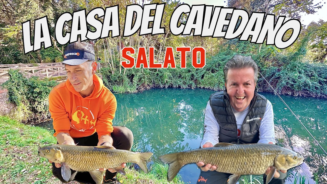 La CASA del CAVEDANO salato