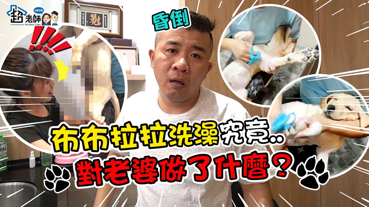 【老超與狗🐶】老公親自幫兩隻狗洗澡！才剛洗好交給老婆就發生悲劇了...【超老師】