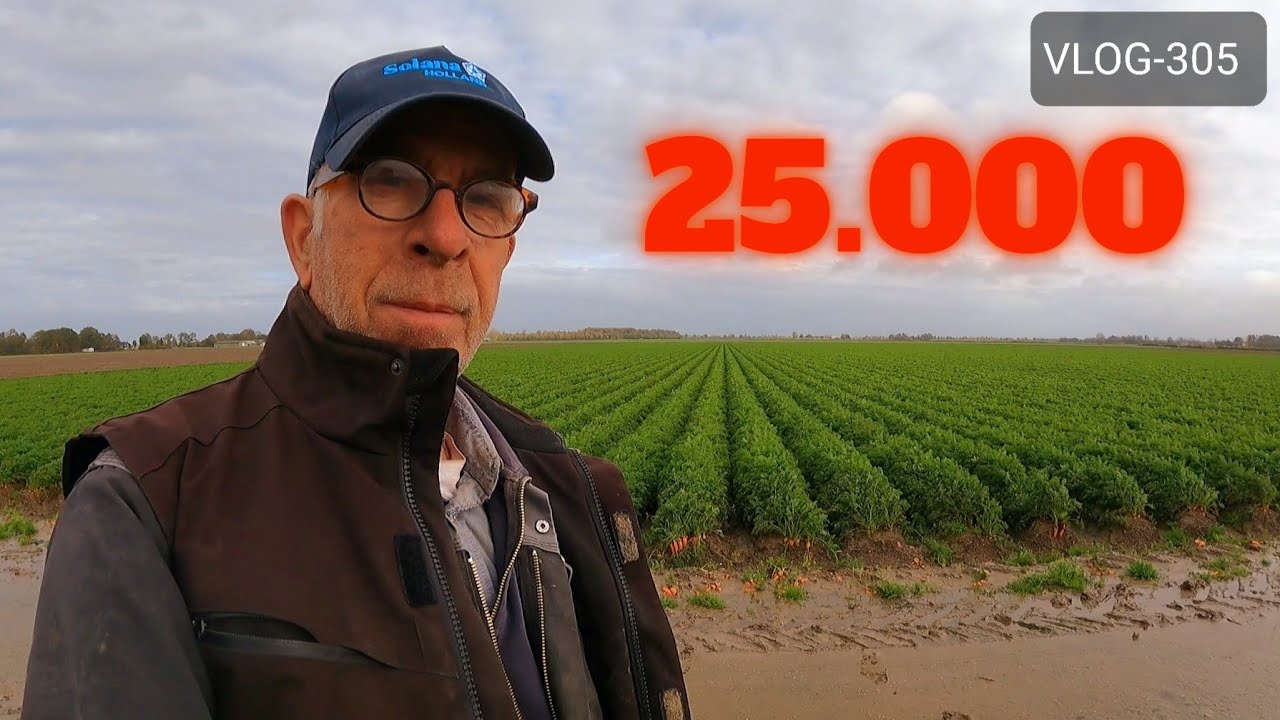 FARMVLOG #305 teelt suikerbieten, graan, vlas, uien, aardappelen, peen