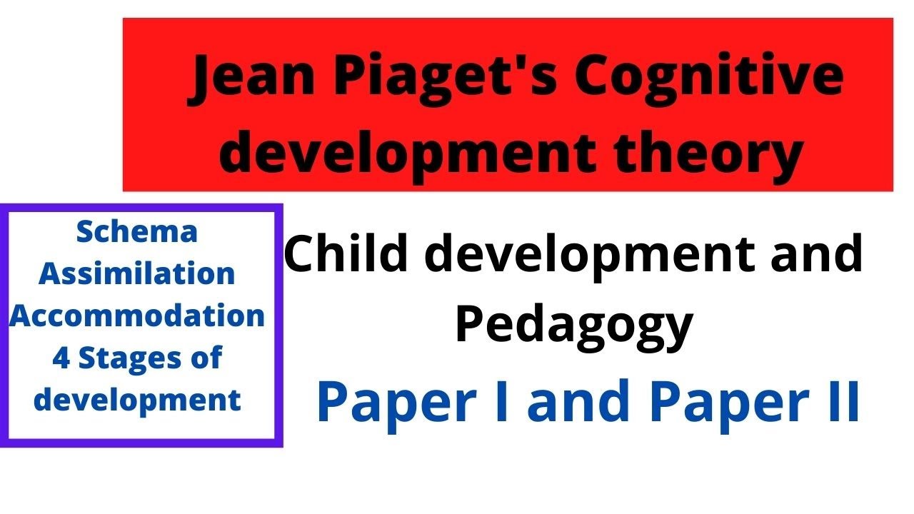 Jean Piaget's Cognitive Development Theory | CTET Child Development Pedagogy | Cup of CTET concepts