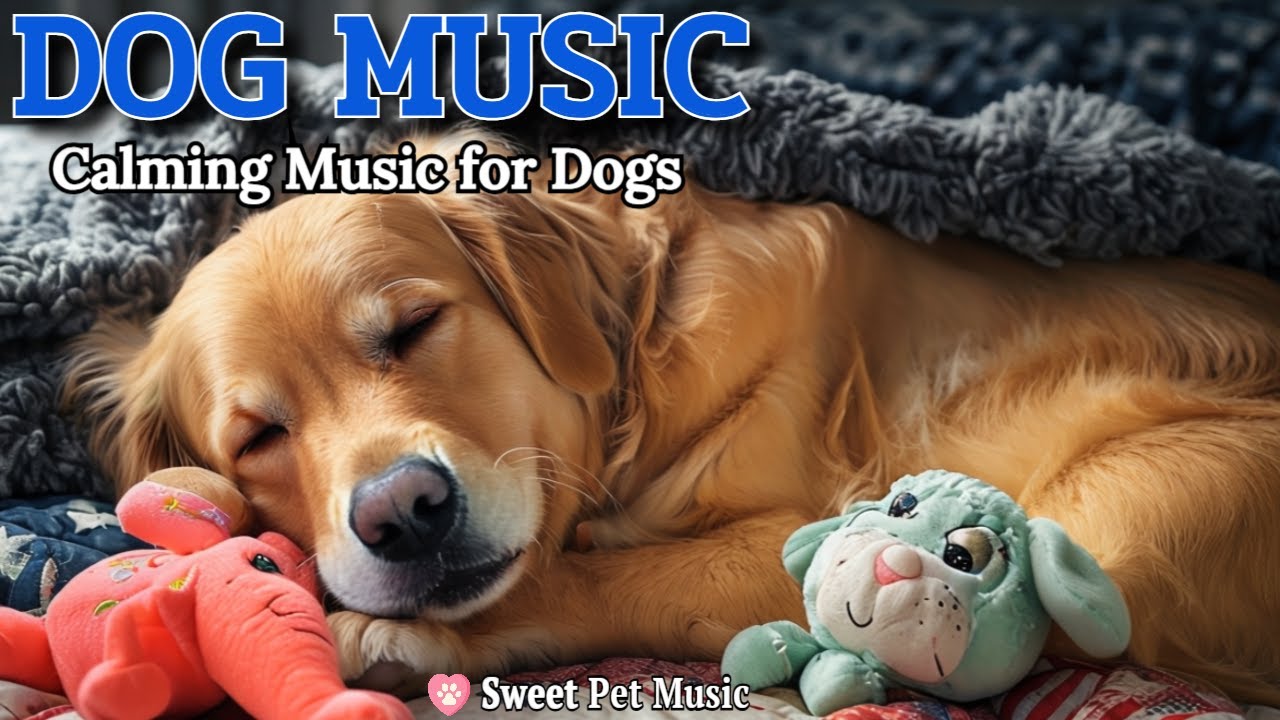 20 Hours of Calming Dog Music🦮💖Soothe Nervous Paws & Anxiety🎵💤Ultimate Rest, Dog TV