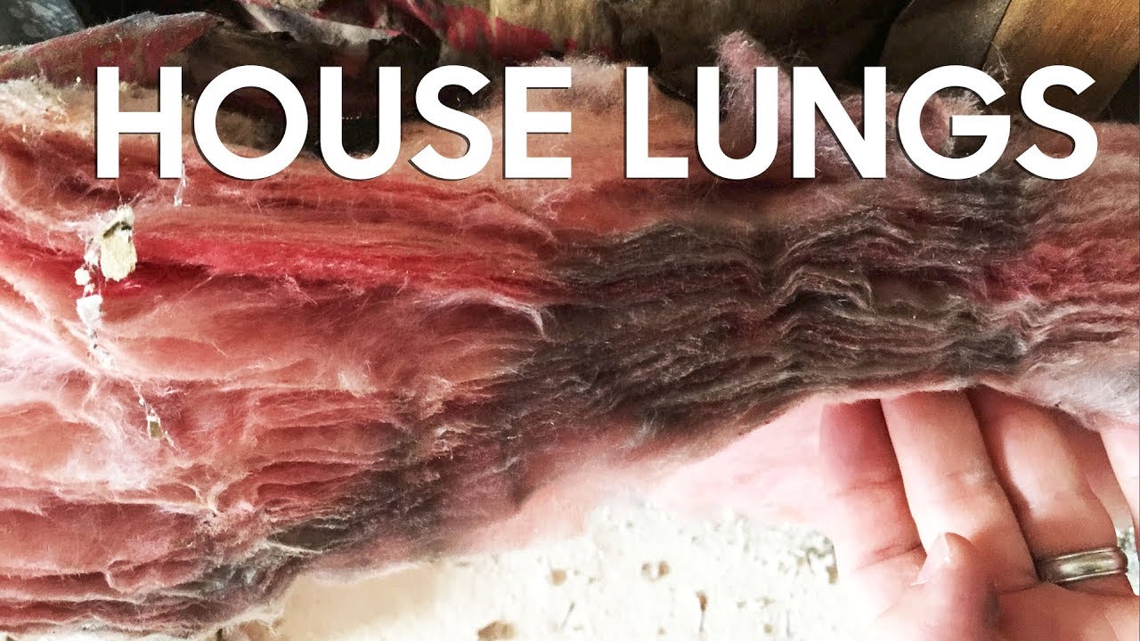 “Houses need to BREATHE!” - Shut your filthy mouth