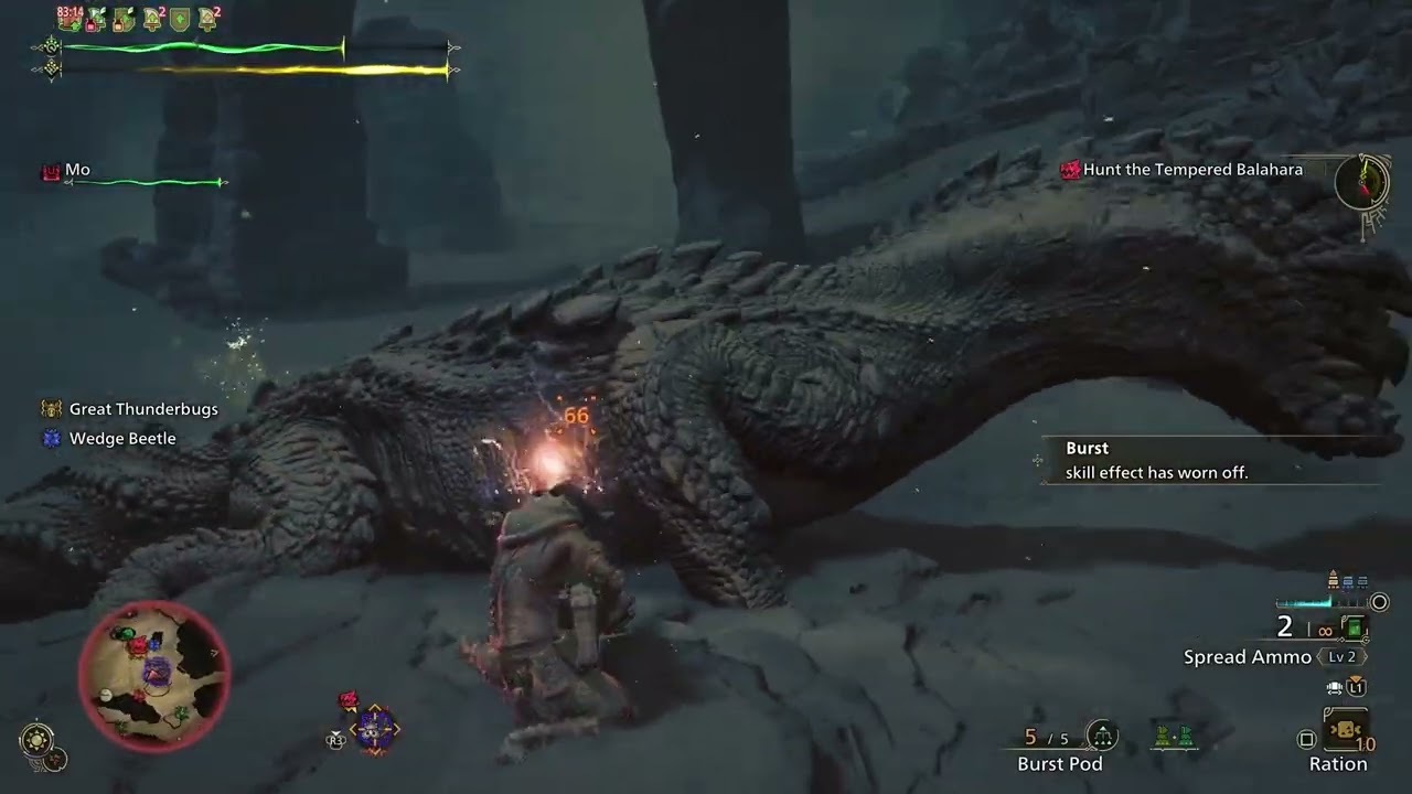 Hunt of the Day 2/26/26 Balahara VS  Heavy Bowgun