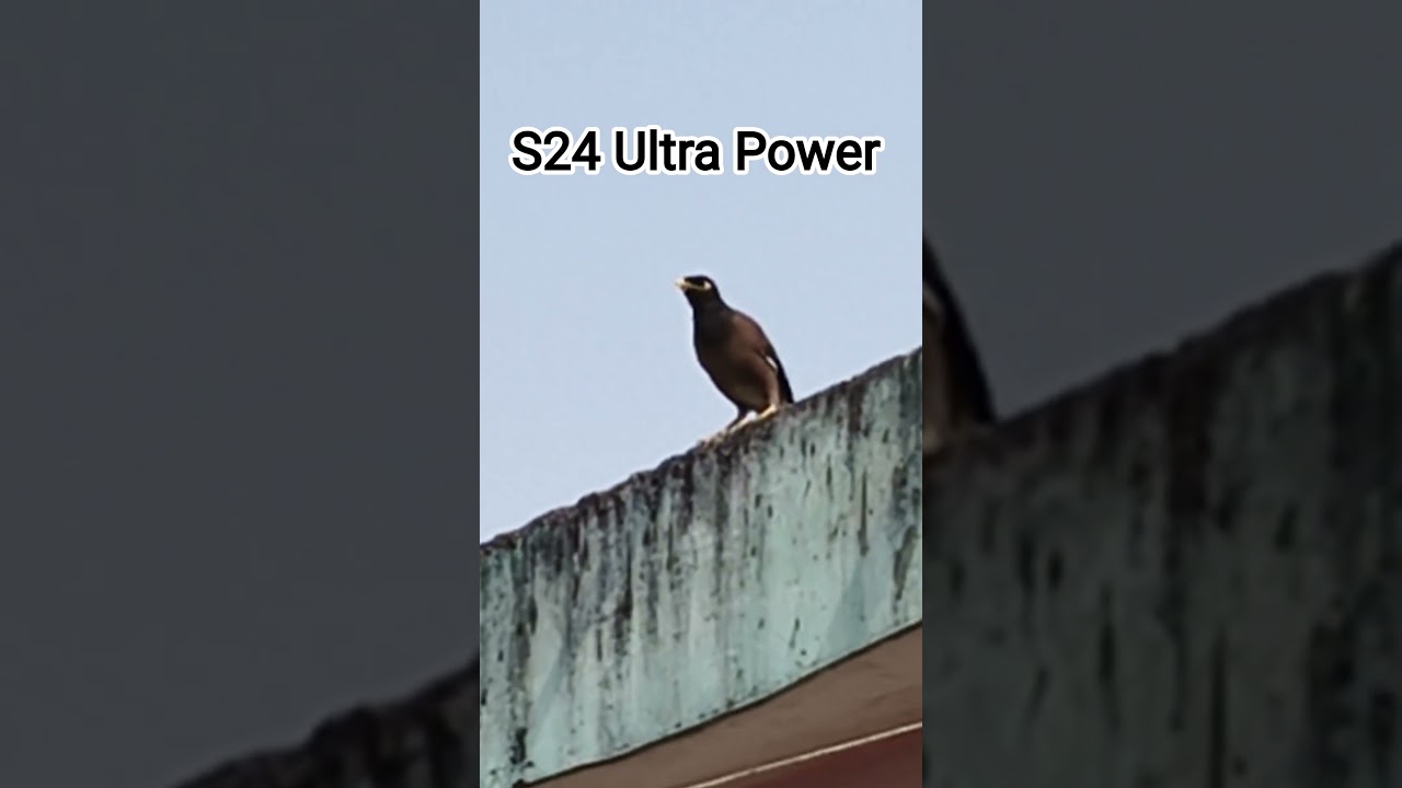 S24 Ultra Power 🤪