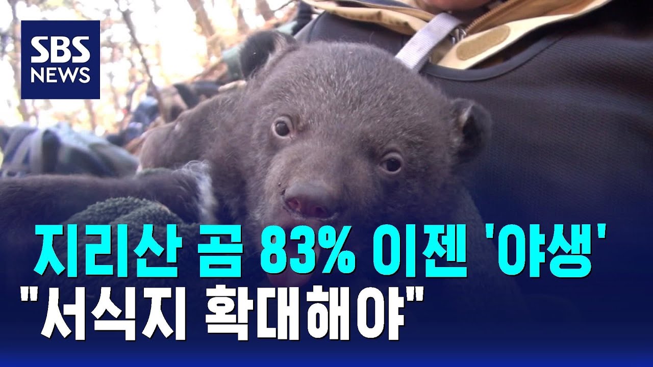 지리산 곰 83% 이젠 '야생'&hellip;
