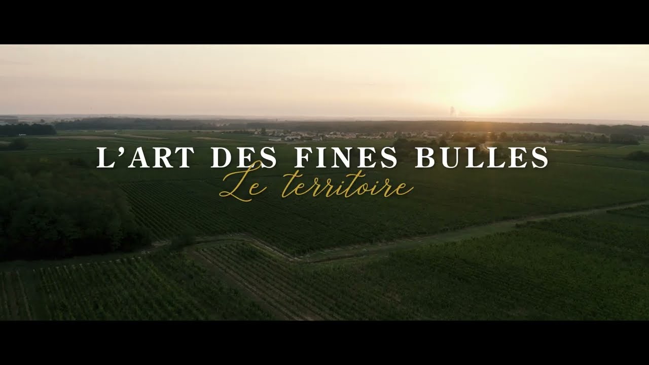 Bouvet Ladubay "L'art des fines bulles" - Le Territoire, épisode 1/7