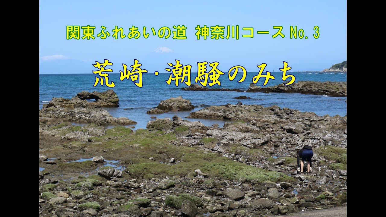 神奈川コースNo.3 荒崎・潮騒のみち