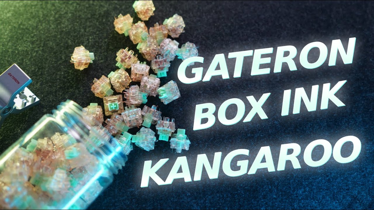 GATERON KANGAROO BOX INK 🦘 | Charakterystyka i Sound Test switchy