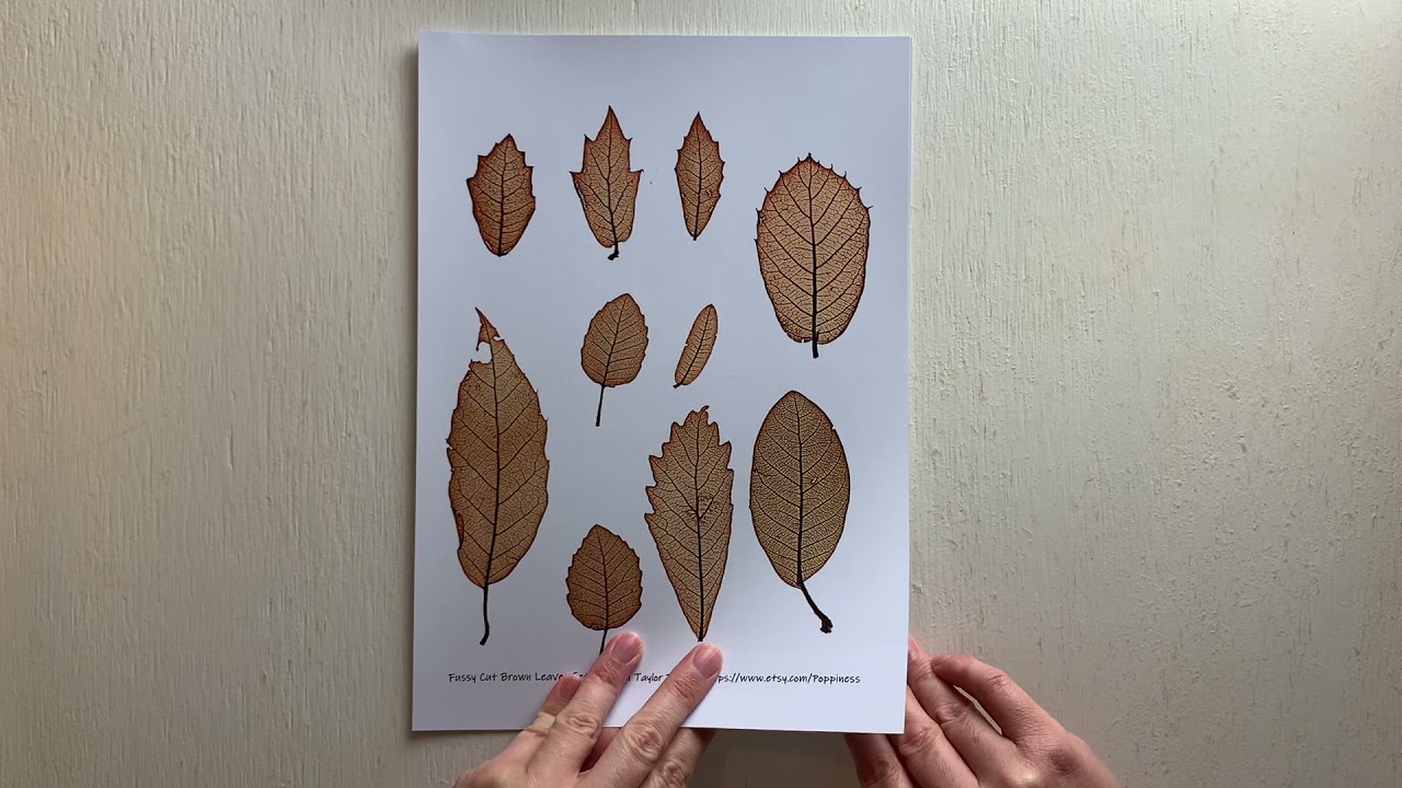 ‘Collecting and Gathering’ - Guest Design Team Announcement - Digital Kit Shares for Poppiness