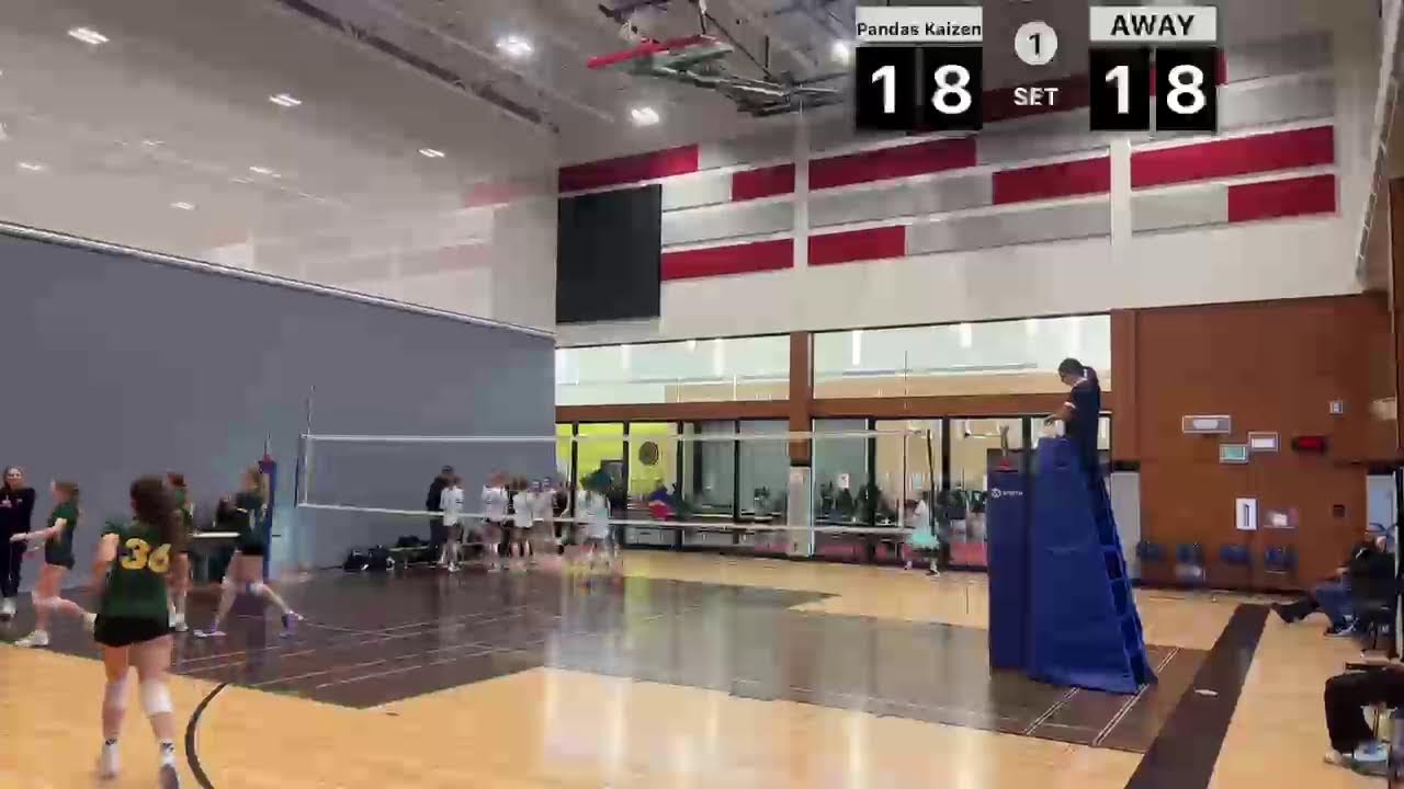 U14 Pandas Kaizen vs. Vibe Turner