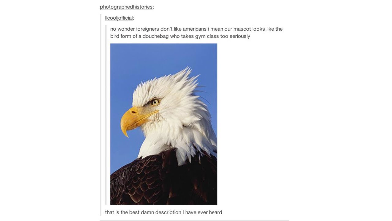 Tumblr Posts - Episode 38