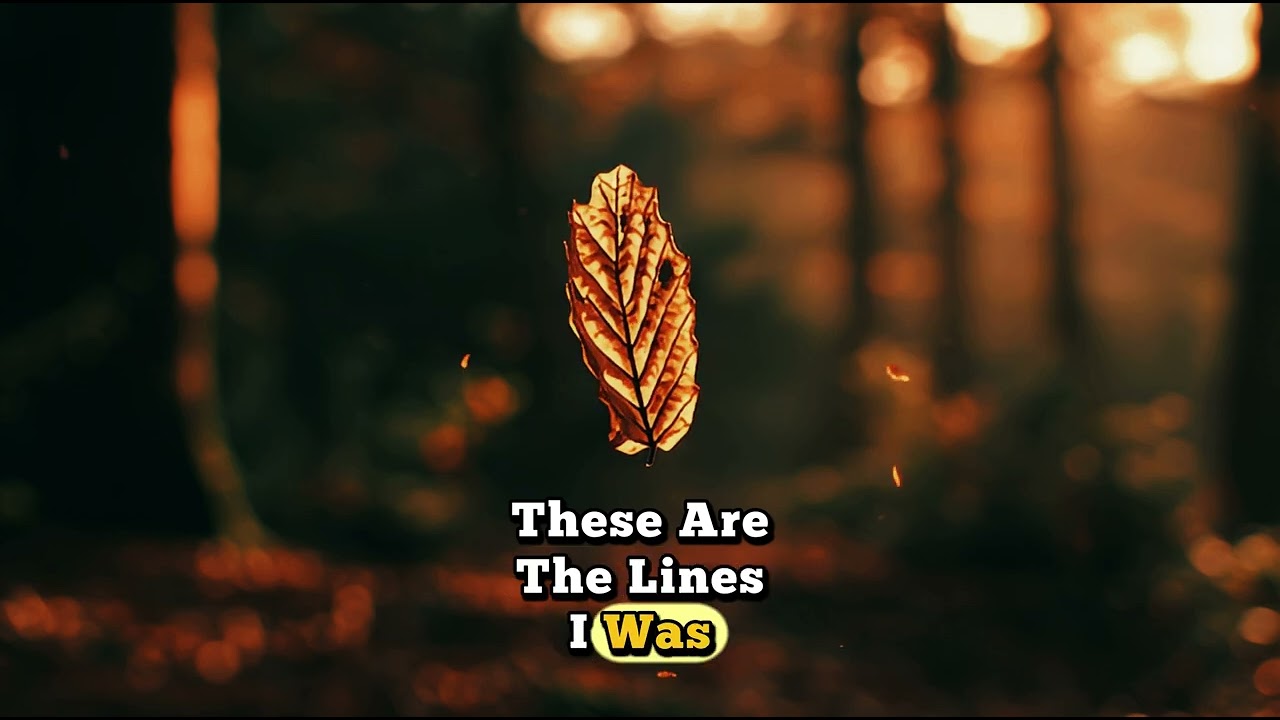 The Lines I Was Afraid to Write | Late Night Sad Pop