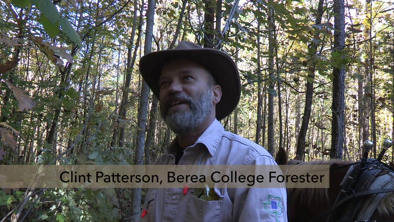 Horse Logging at Berea College