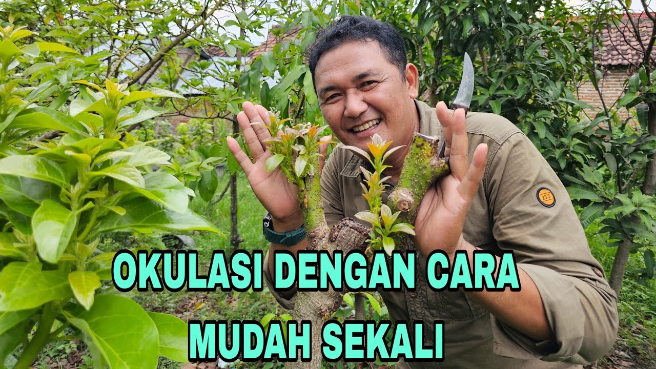 CARA OKULASI DENGAN  MUDAH