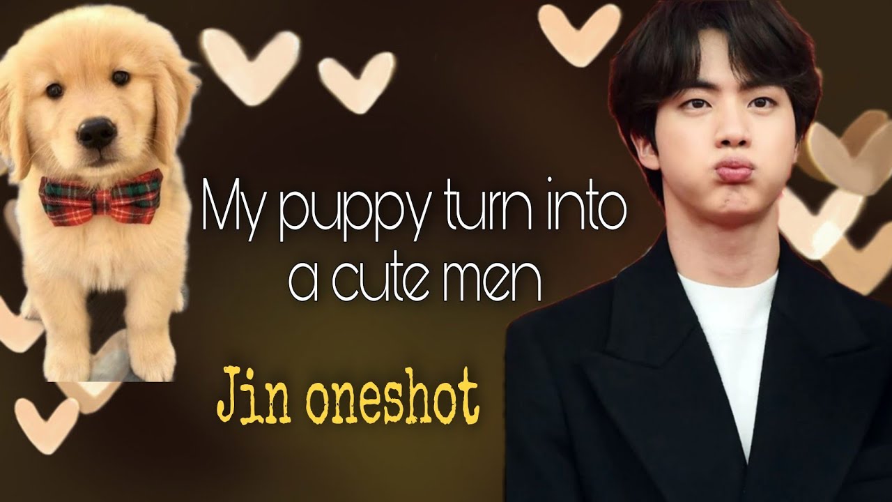 My puppy turn into a cute man 1/2(Jin ff )*read description please*