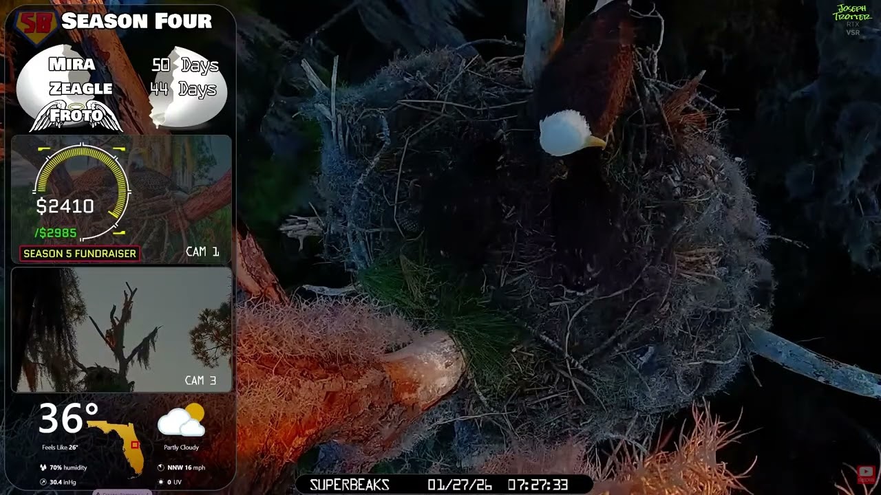 🦅Yesterday at SuperBeaks | Jan 27, 2026- Stick play, Catfish for break-fish🐟& a long evening dinner💕