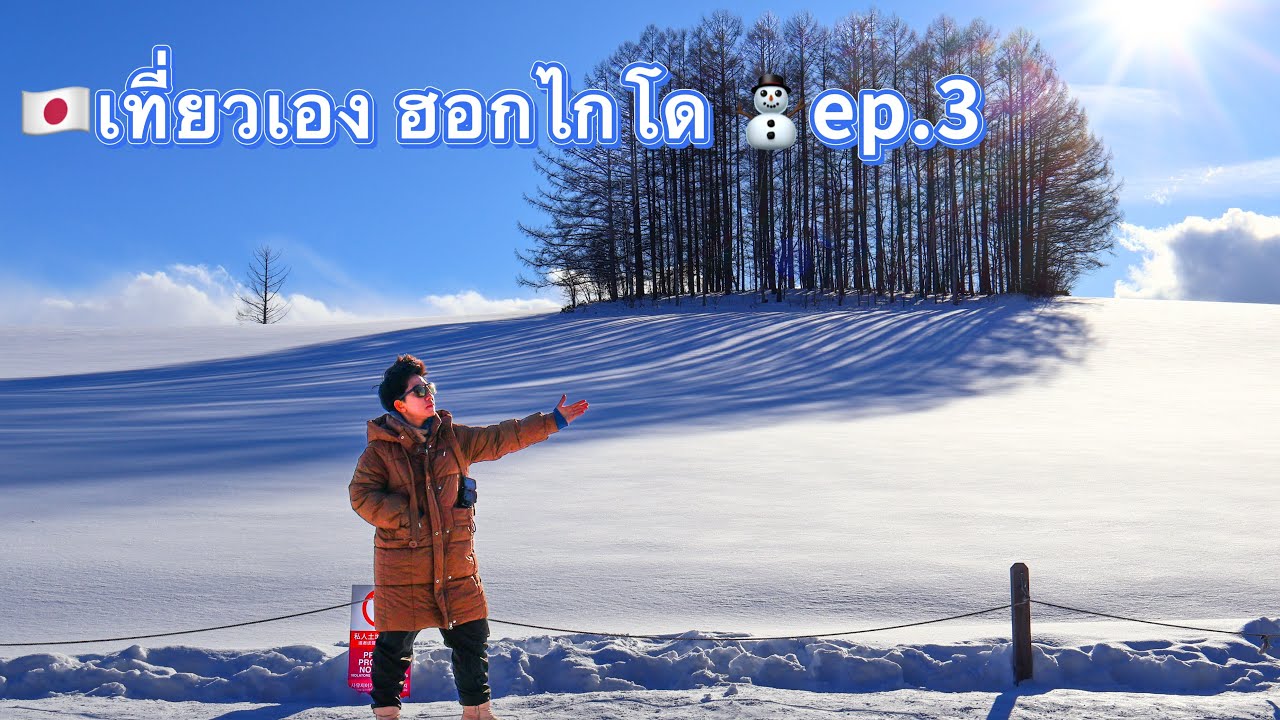 🇯🇵เที่ยวเอง ฮอกไกโด❄️Jan 2026 ep.3 
