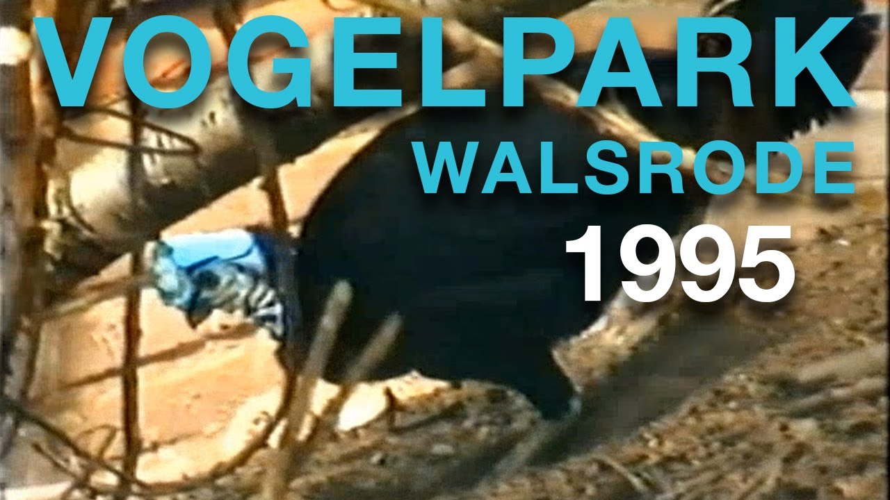 Vogelpark Walsrode - 20.7.1995
