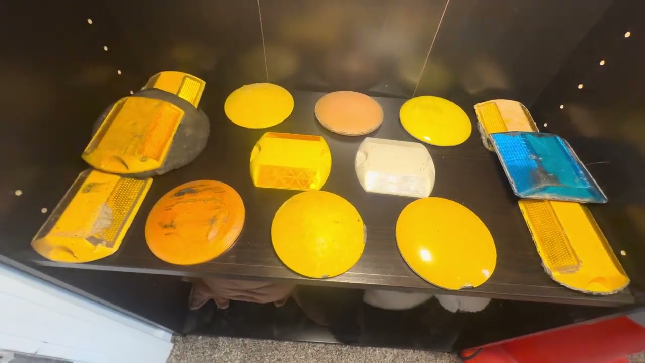 Wasp Nest Collection Update