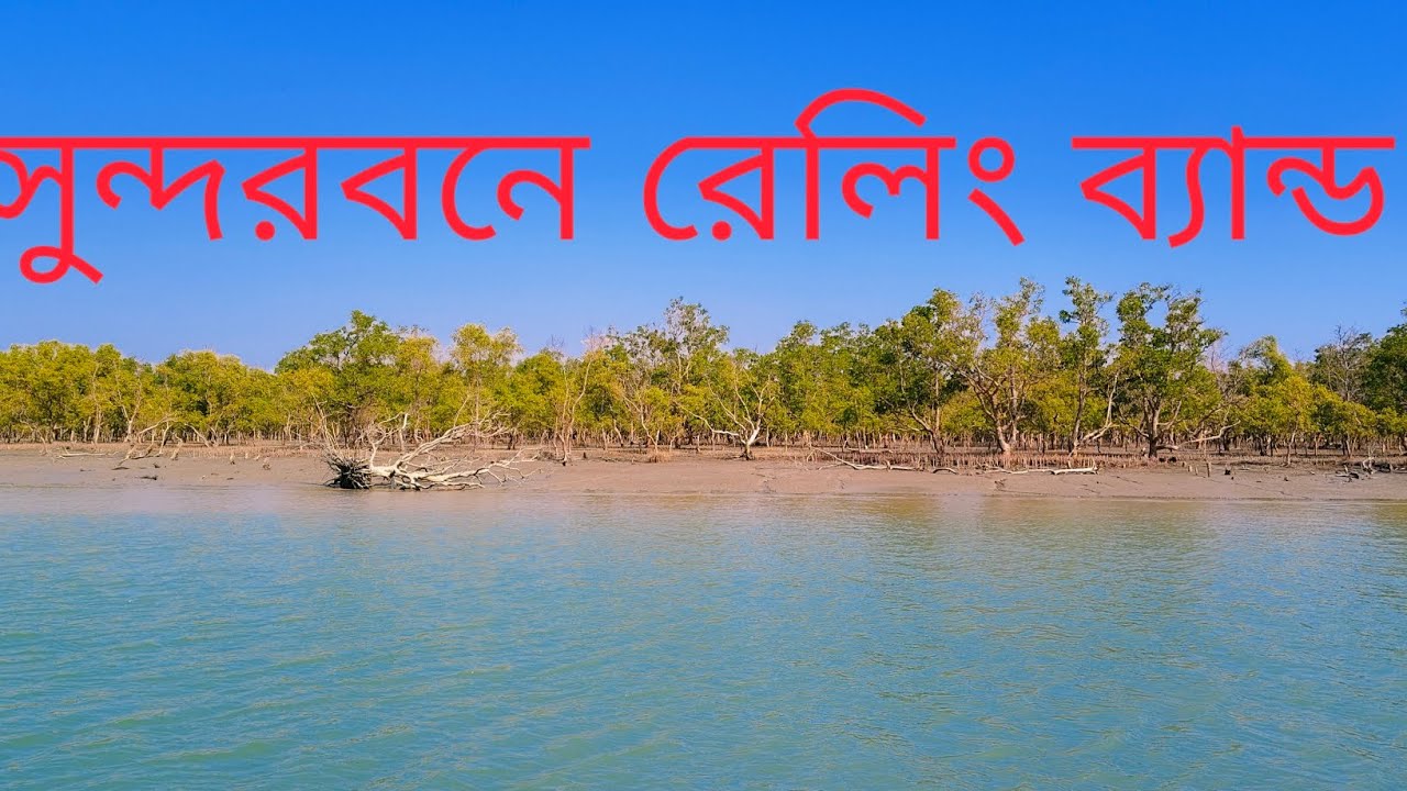 সুন্দরবনে রেলিং ব্যান্ড 