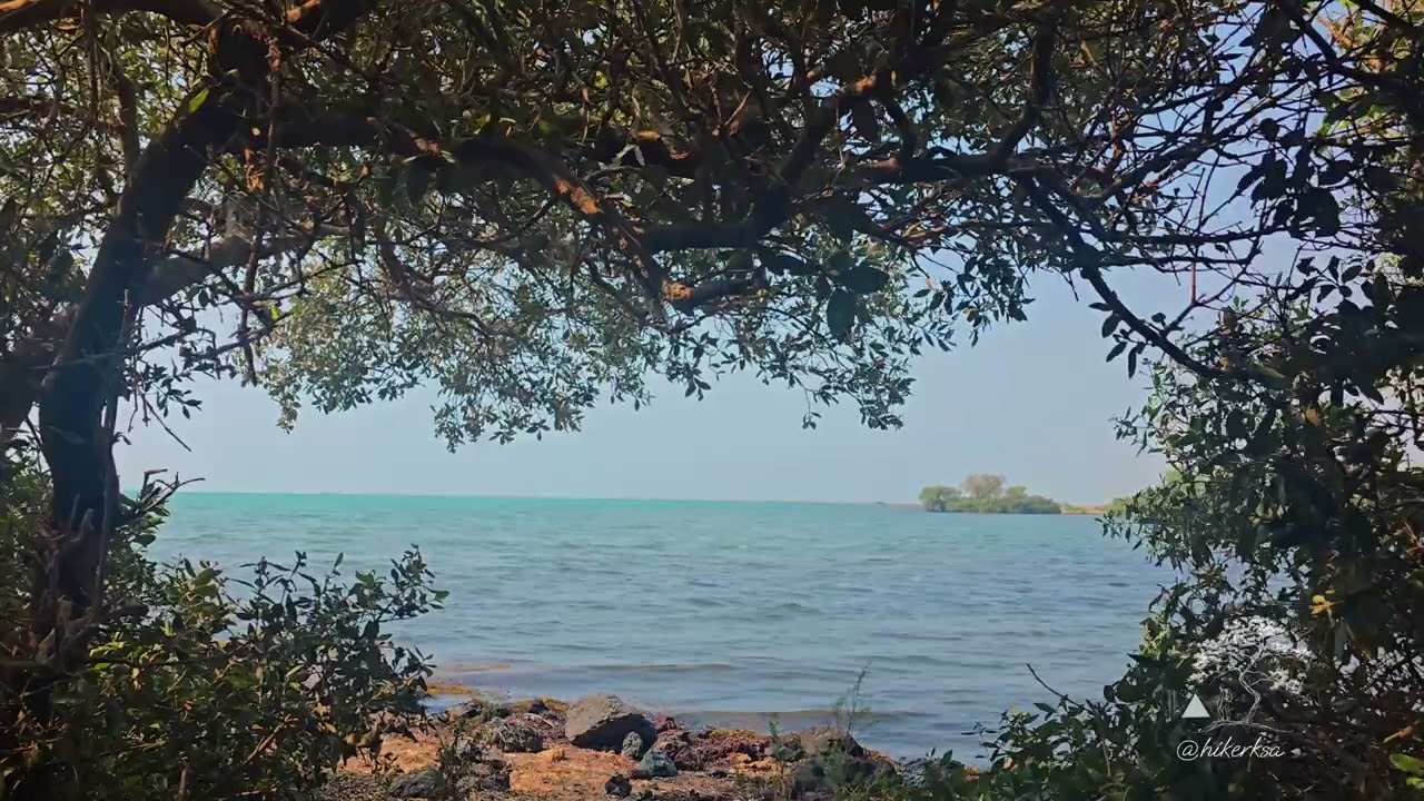 13 Minutes of Al Qahma’s Turquoise Coastline | Mangroves & Serenity | HikerKSA