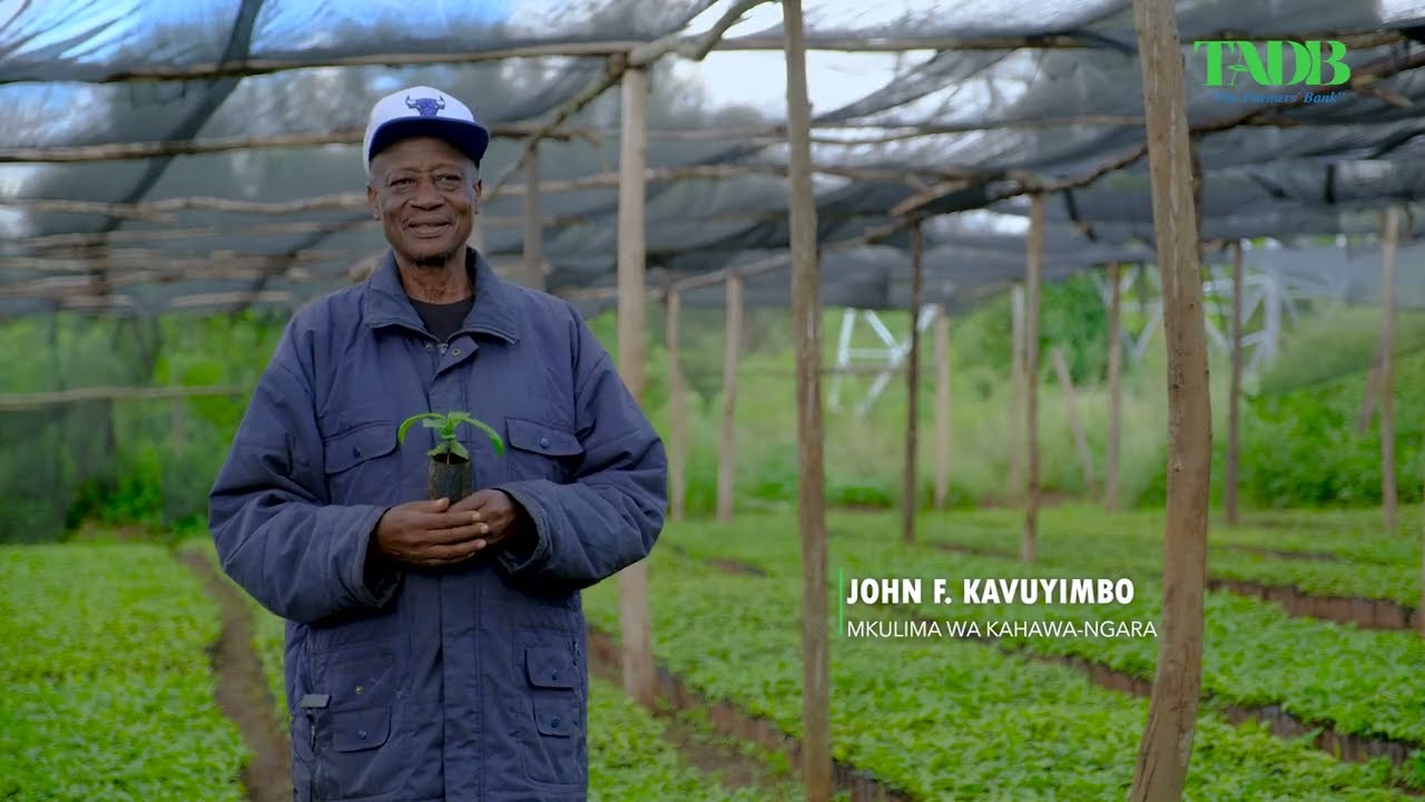 MAISHA YA WAKULIMA WA KAHAWA NGARA WALIVYO FAIDIKA NA TADB | A DOCUMENTARY FILM