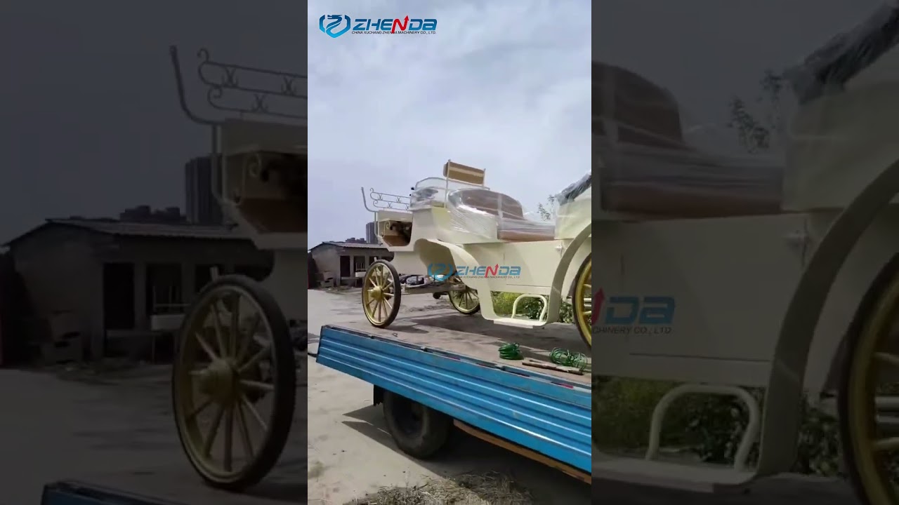 hot sale sightseeing carriage, electric carriage for sale electric buggy +86 18539053882