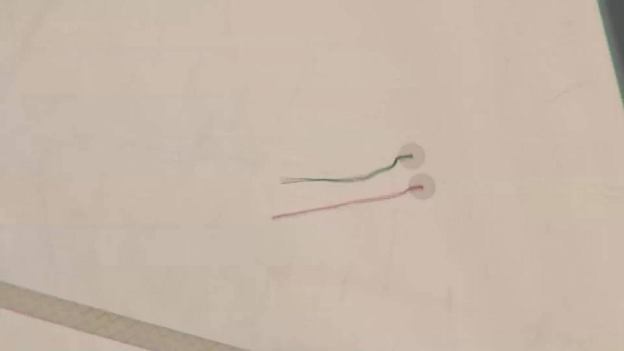 Scuola di vela - I filetti segnavento