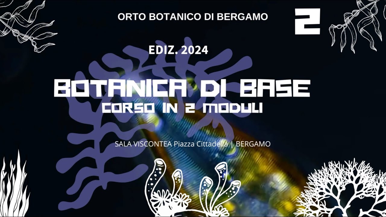 8 feb. 2024 ⎜2&deg; incontro⎜Scopri i Segreti delle Alghe con il Prof. Alessio Papini