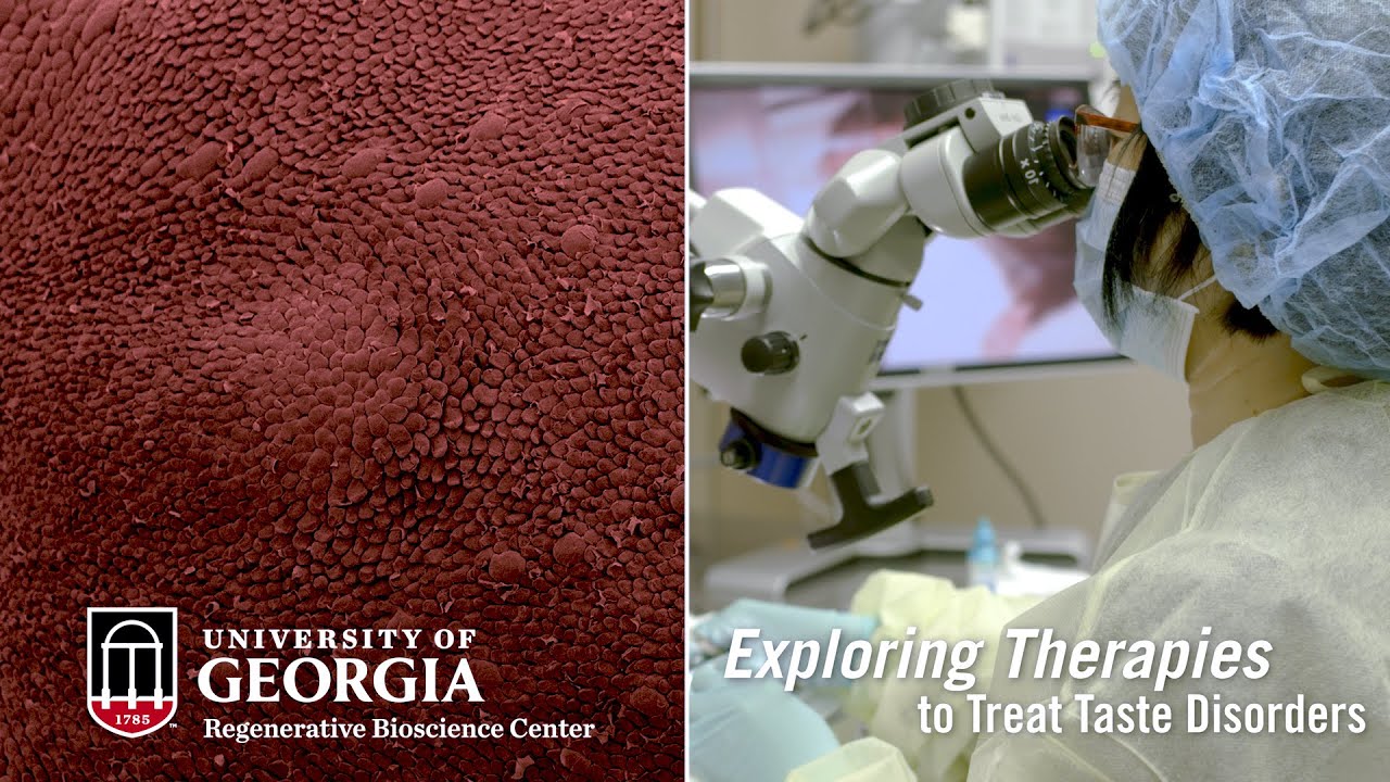 Exploring Therapies toTreat Taste Disorders