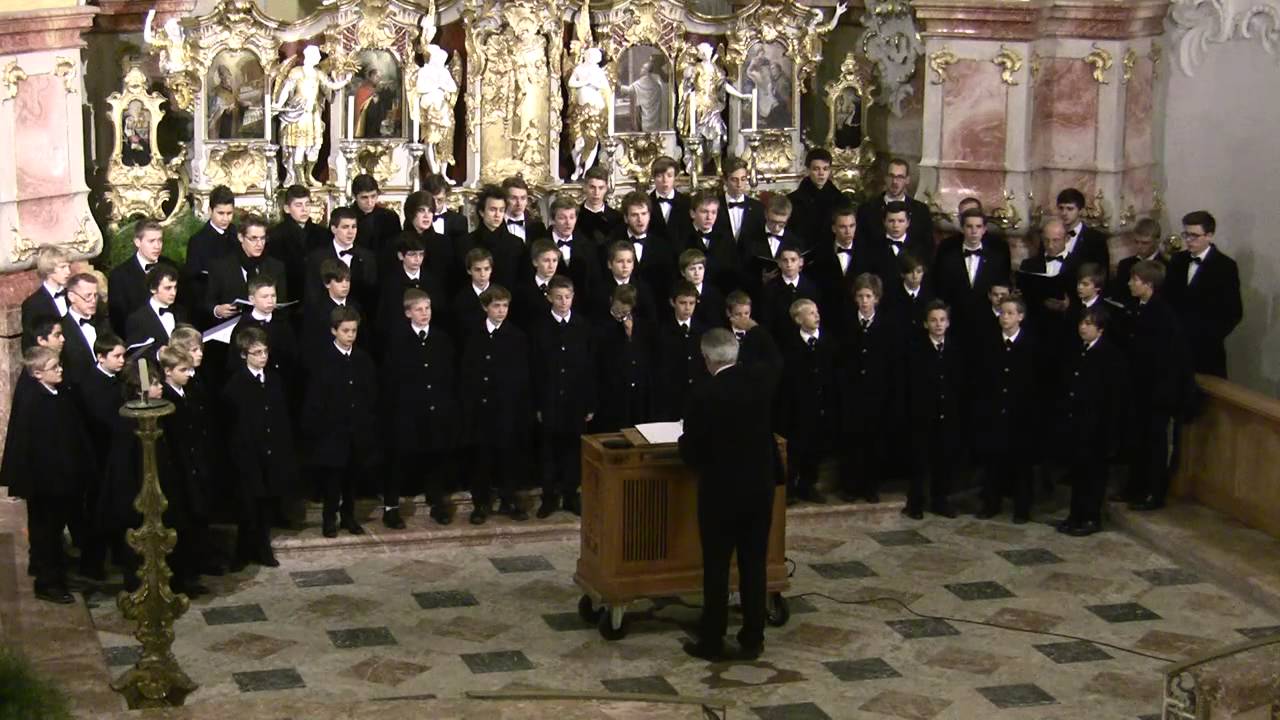 Salve Regina gregorianisch (Wiltener Sängerknaben, Johannes Stecher)
