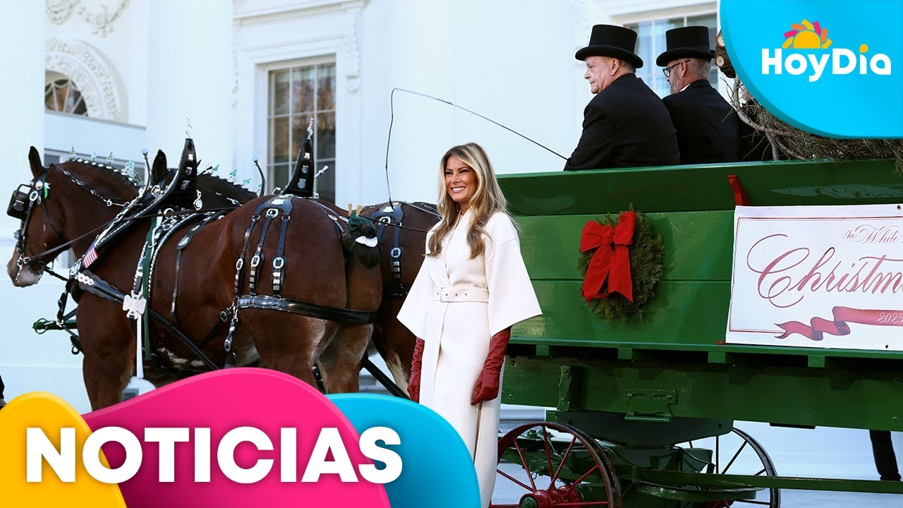 Melania Trump recibe el árbol de Navidad de la Casa Blanca de 2025 | Hoy Día | Telemundo