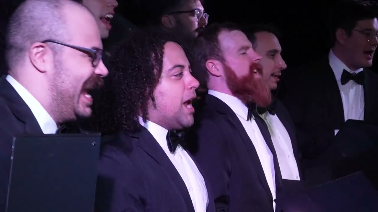 Megalovania - The Drunk Men's Choir