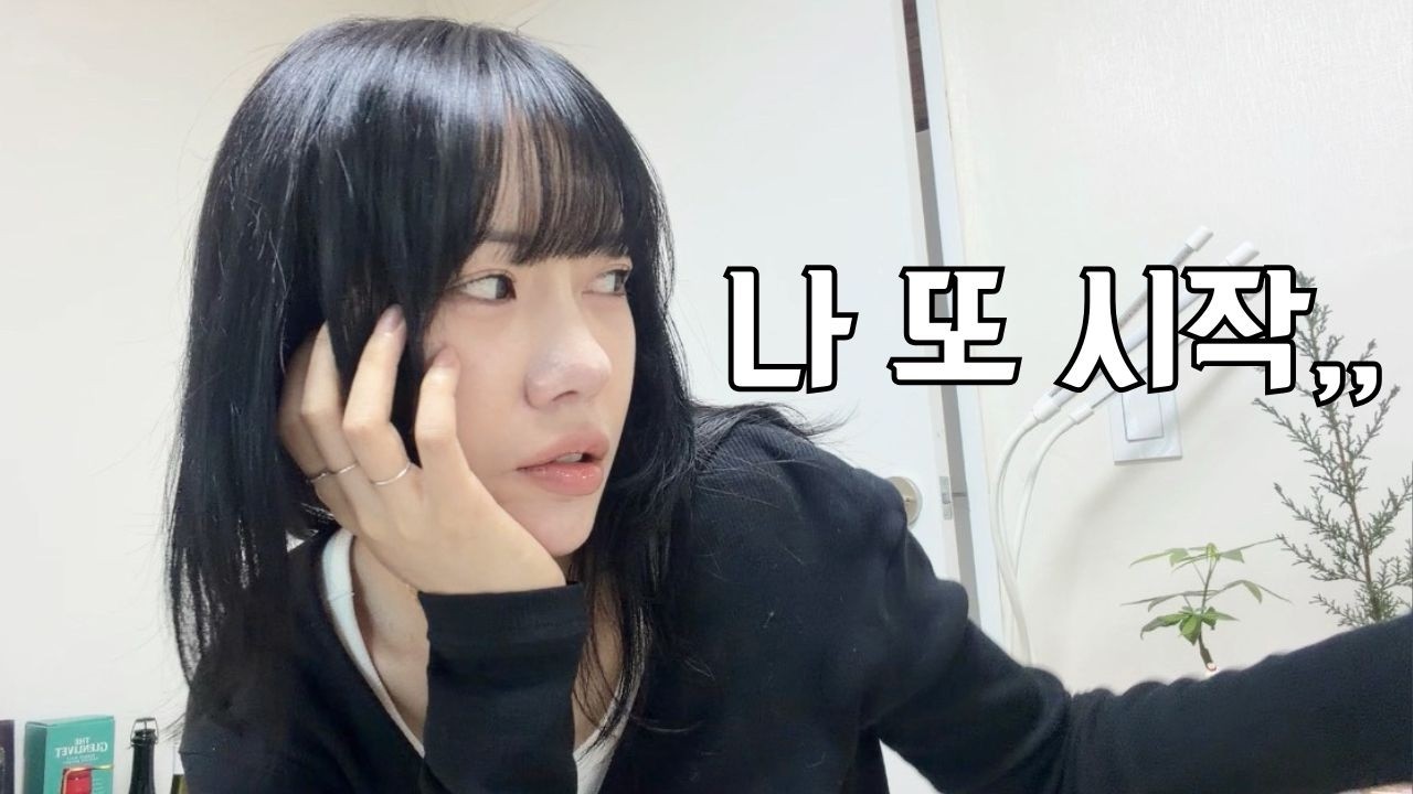 또 시작된 이유 찾기 | 나를 분석하는 중 | 일상 브이로그