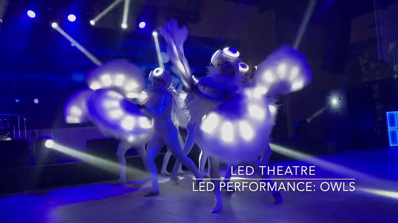 LED THEATRE: LED PERFORMANCE -  OWLS (long version)