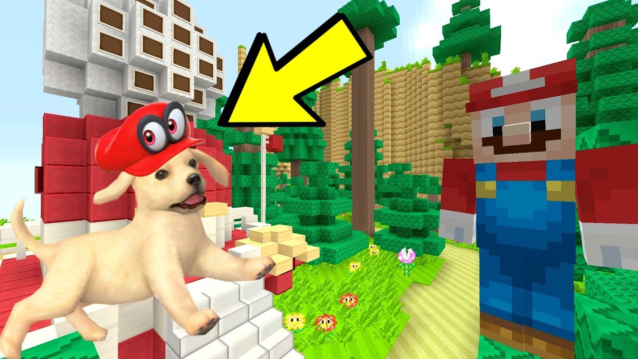 Minecraft Switch - Super Mario Series -  MARIO, DOGS, AND WOODED KINGDOM! [SO CUTE!] [236]