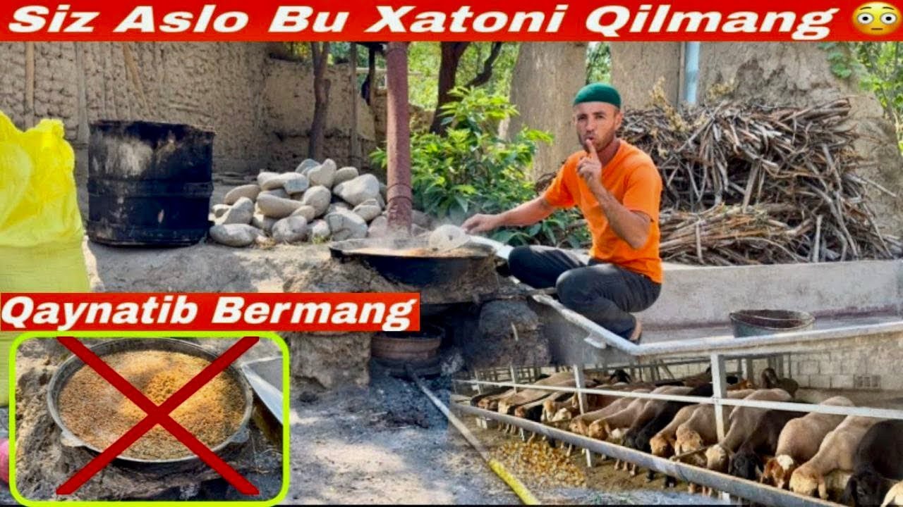 CHorvodor Akalarimiz 90% Bu Xatoni Qilishadi.Korib Bunga Oziz  Xulosa Qiling🔥