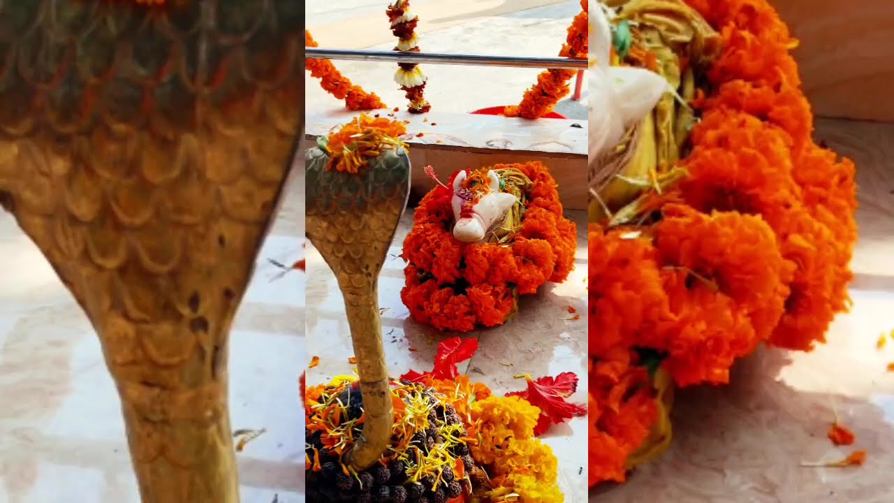 5 फ़रवरी फाल्गुन गुरुवार चतुर्थी के उपाय | देशी घी7 बिंदी का उपाय | #guruwarchaturthikeupay#shivupay