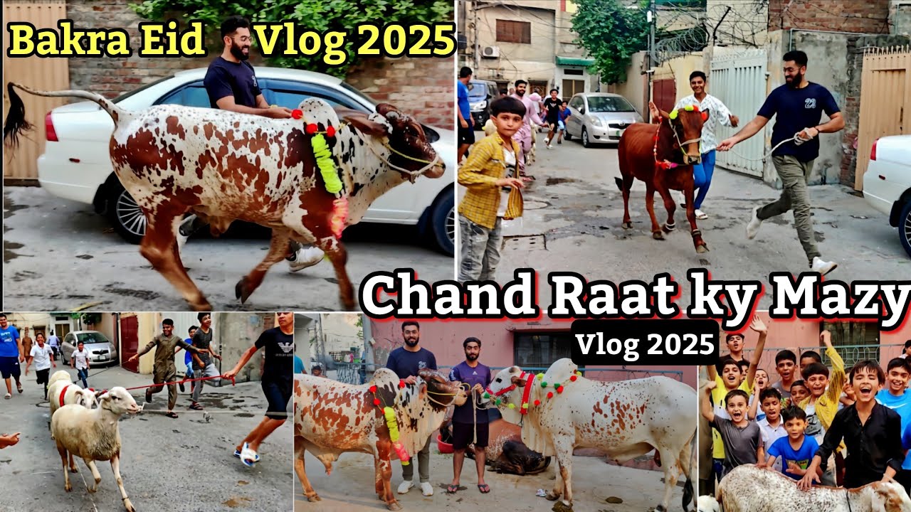 Bakra Eid Vlog 2025 | Chand Raat Ky Mazy In Lahore 2025 | Cow running video | Cattle Of Pakistan