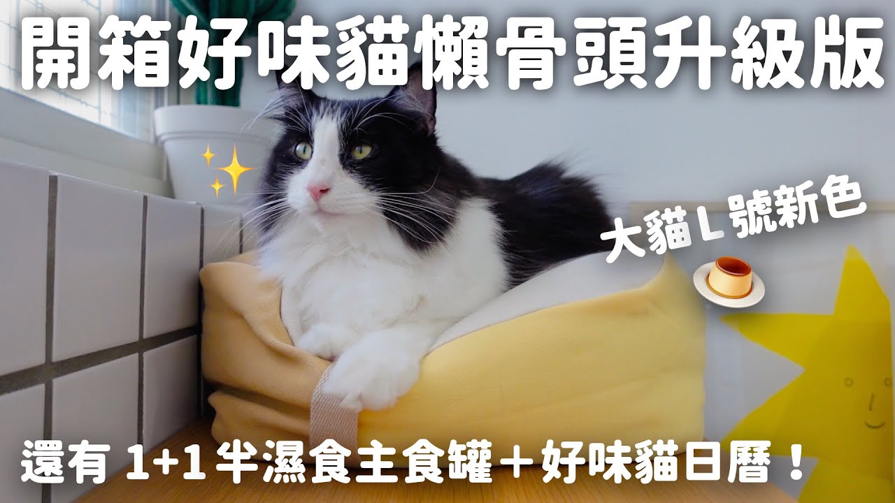 大貓也有專屬懶骨頭啦！和那堤開箱：好味小姐貓懶骨頭L號全新升級版｜2024好味貓日曆｜1+1半濕食主食罐試吃！EP104