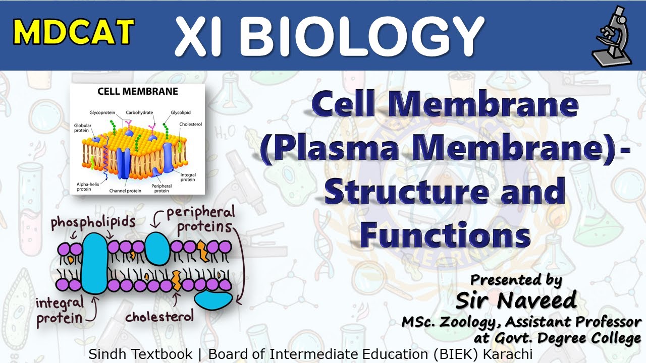 Cell Structure and Functions | Techniques Used in Cell Biology | Chapter 3 | XI Biology New | MDCAT