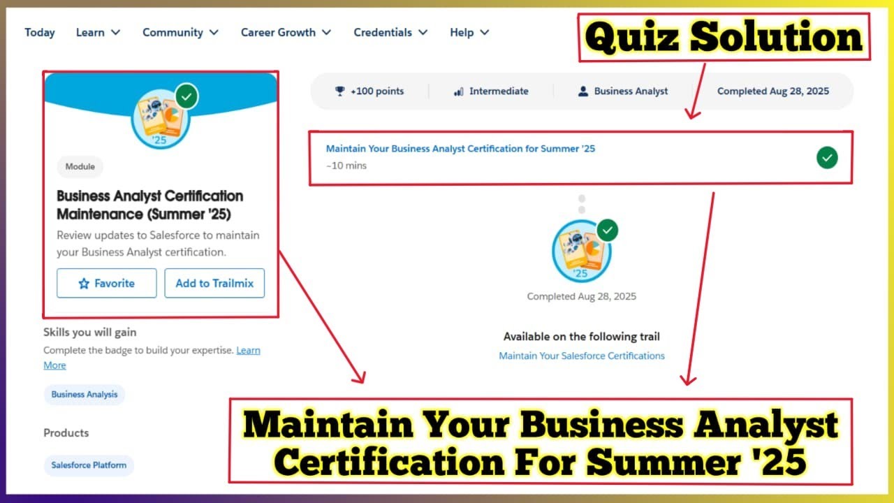 Business Analyst Certification Maintenance Summer '25| Maintain Your Business Analyst Certification