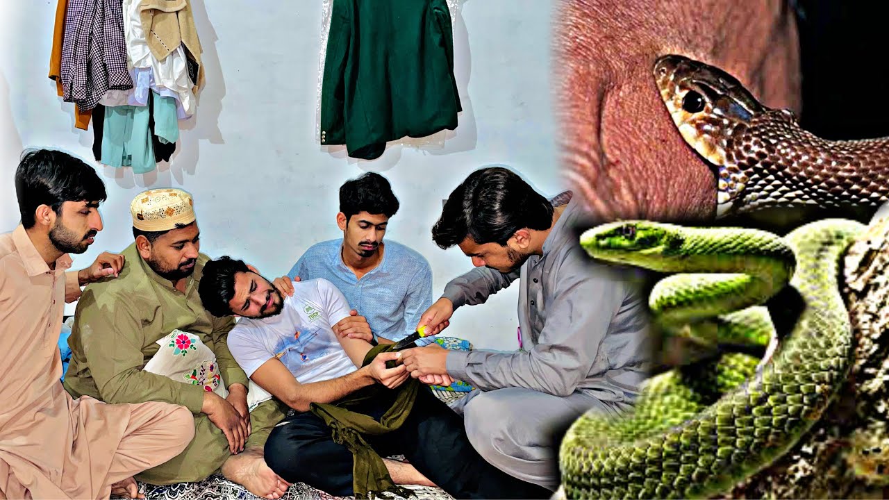 Snake bite prank 🐍😱 | On high demand 😁😂