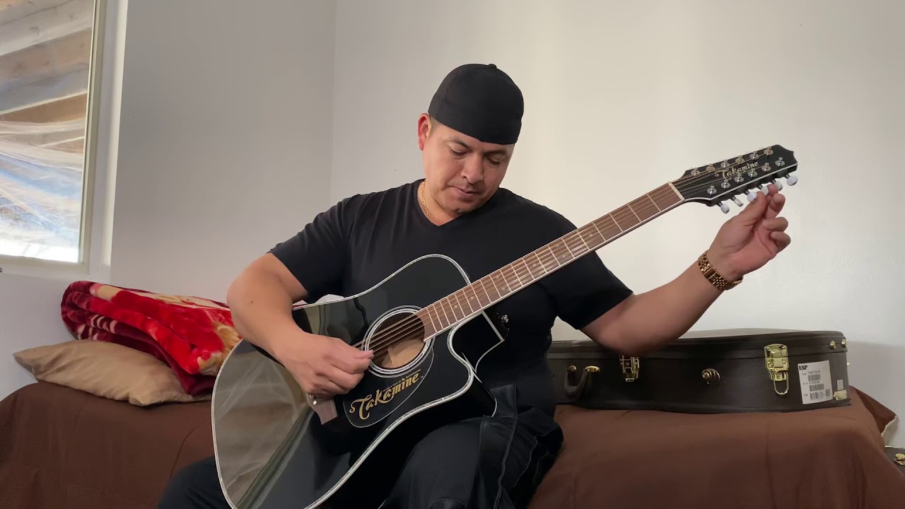 2 takamines ef381dx y mis guitarras