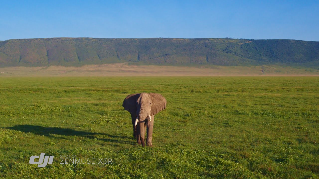 DJI - Zenmuse X5R Highlights: Africa&rsquo;s Garden of Eden