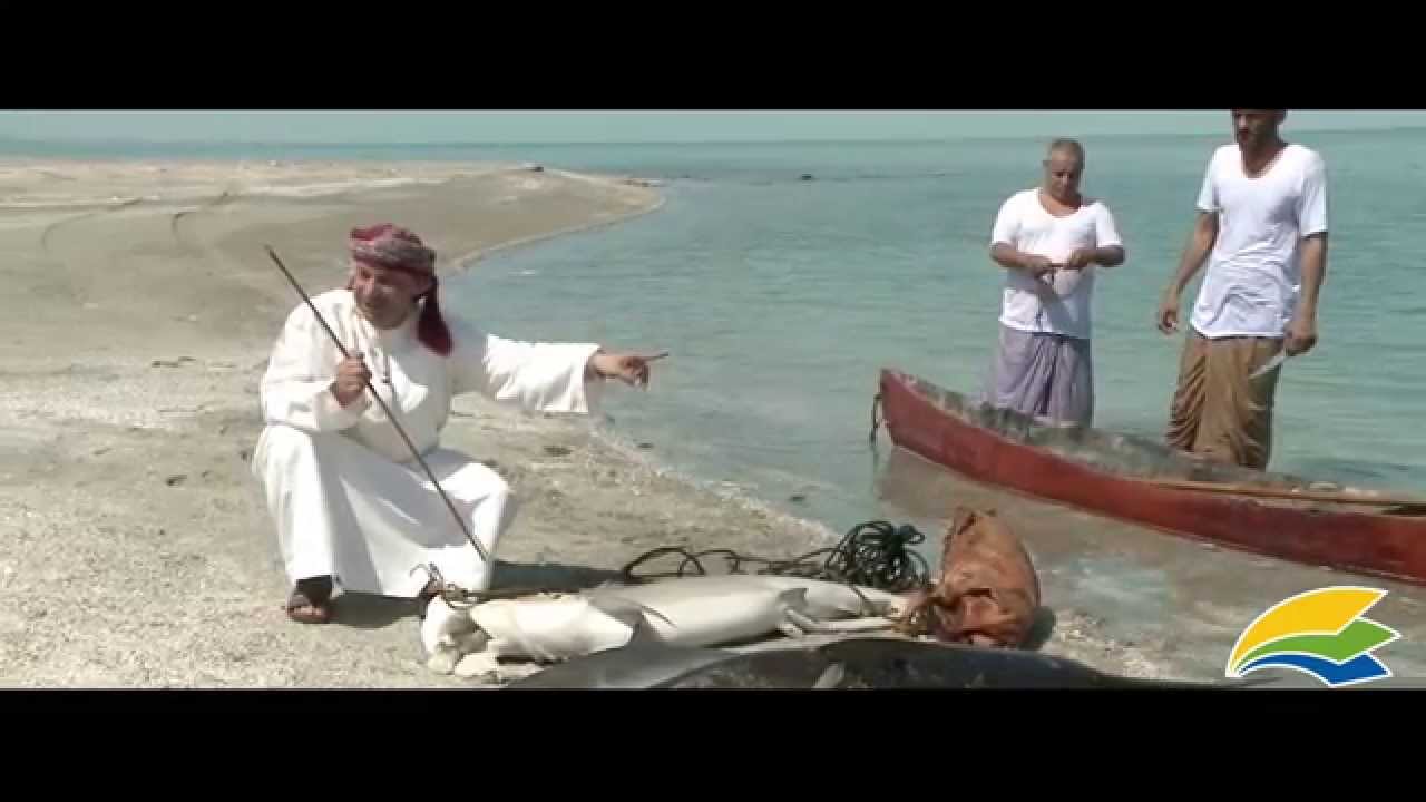 برنامج القفار ولاية مصيرة الحلقة 13- المخرج بدرالمعشري