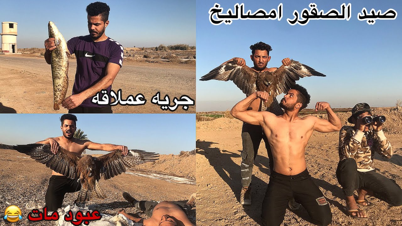 صيد الصقر امصاليخ وقتله بطريقه لا تصدق/ مغامرات صحراء الصقور  _3_ 2021/1/6