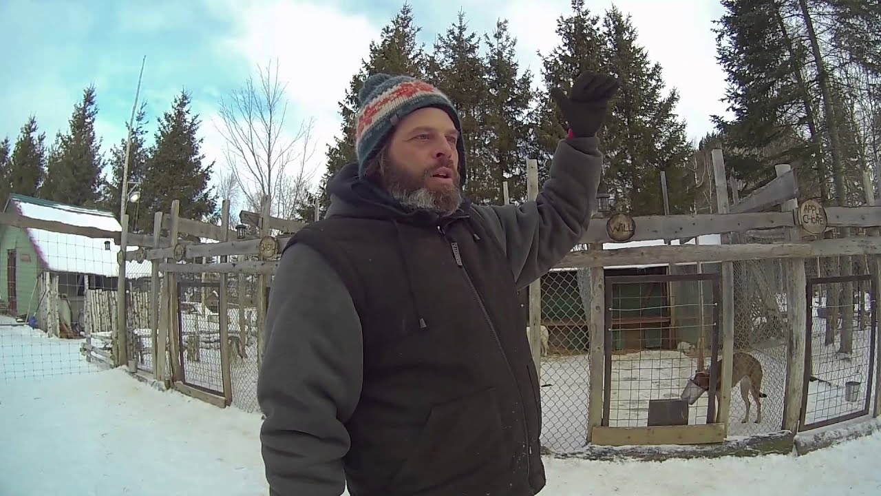 Comment constituer un traineau selon Manitou Mushers