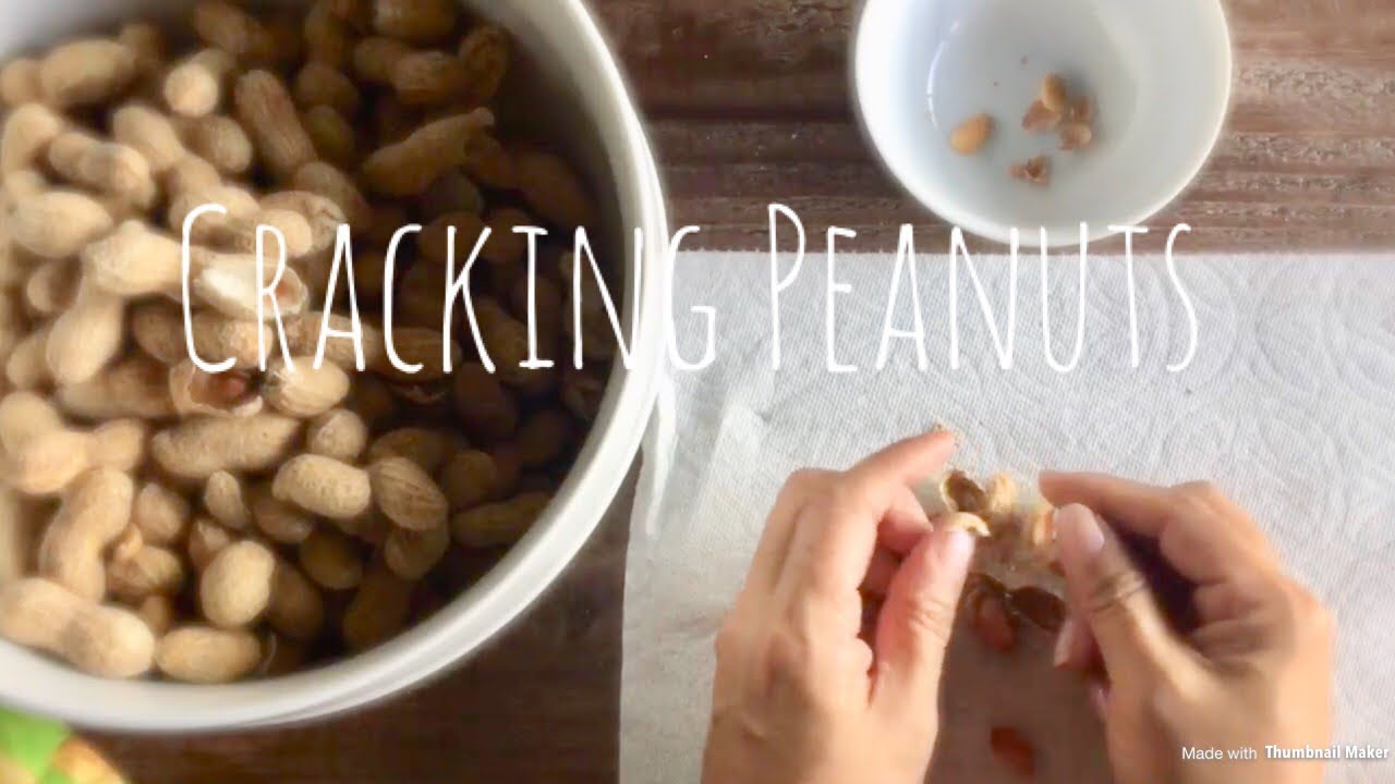 ASMR Cracking Peanut Shells